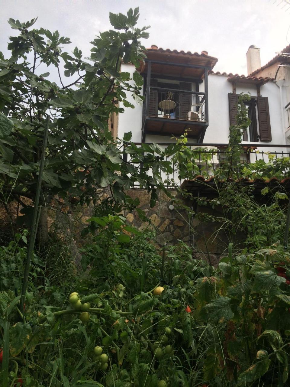 Gourgiana Apartments Andritsaina Exterior foto